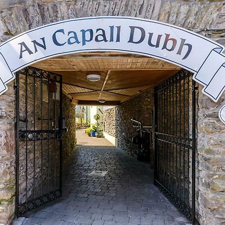 Dingle Centre Townhouse An Capall Dubh Dingle Zewnętrze zdjęcie
