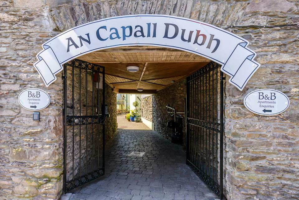 Dingle Centre Townhouse An Capall Dubh Dingle Zewnętrze zdjęcie
