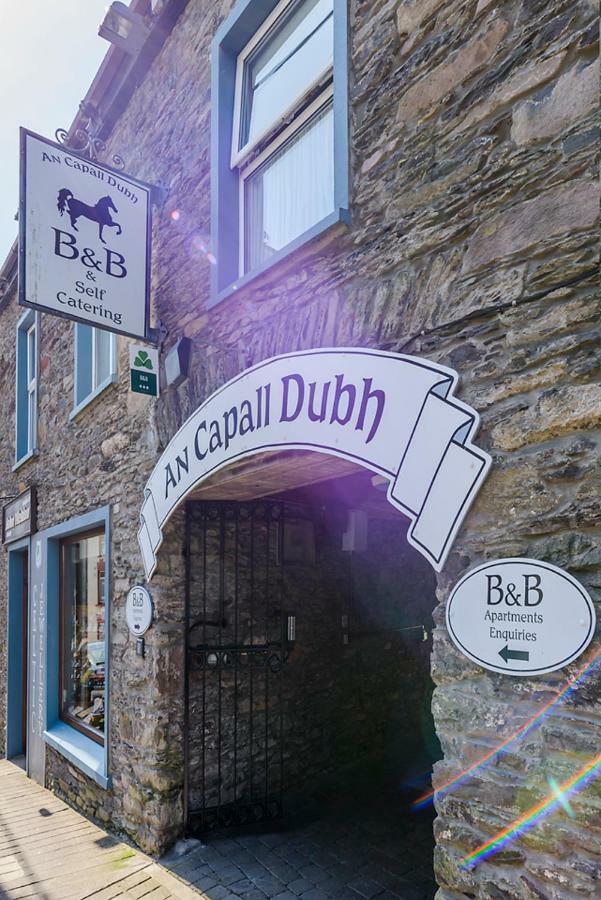 Dingle Centre Townhouse An Capall Dubh Dingle Zewnętrze zdjęcie